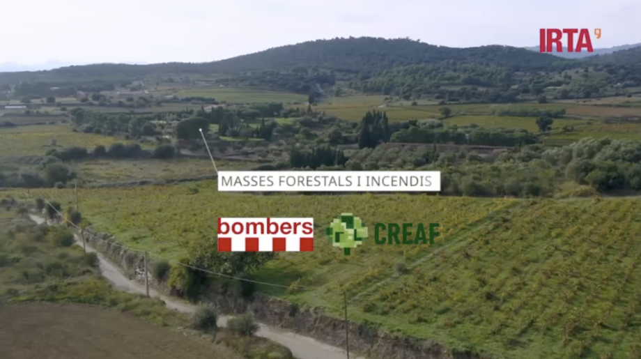 EL PROYECTO CLIMAVIT21 ABRE LA PUERTA A HERRAMIENTAS INTEGRALES PARA EL VIÑEDO