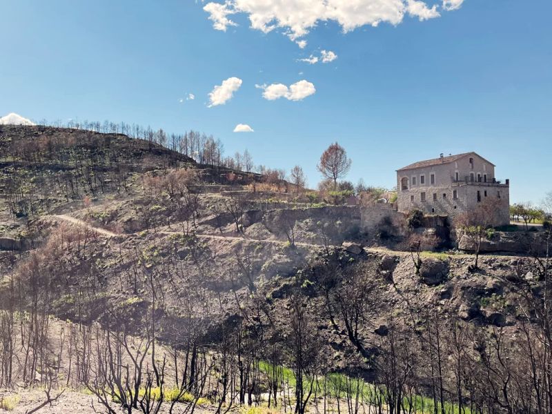 PRESENTACIÓN DEL PROYECTO EUROPEO FIRE WINE-VINS DE FOC