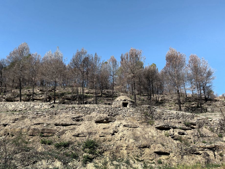 Restos de un pasado vitícola