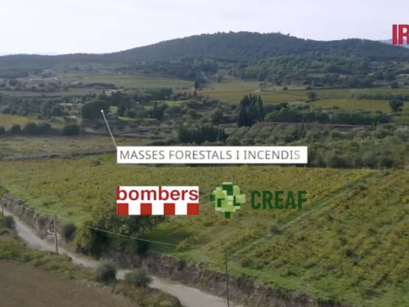 EL PROYECTO CLIMAVIT21 ABRE LA PUERTA A HERRAMIENTAS INTEGRALES PARA EL VIÑEDO