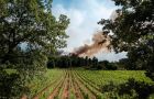 Fire Wine, exemple capdavanter en la prevenció d'incendis, segons la Comissió Europea