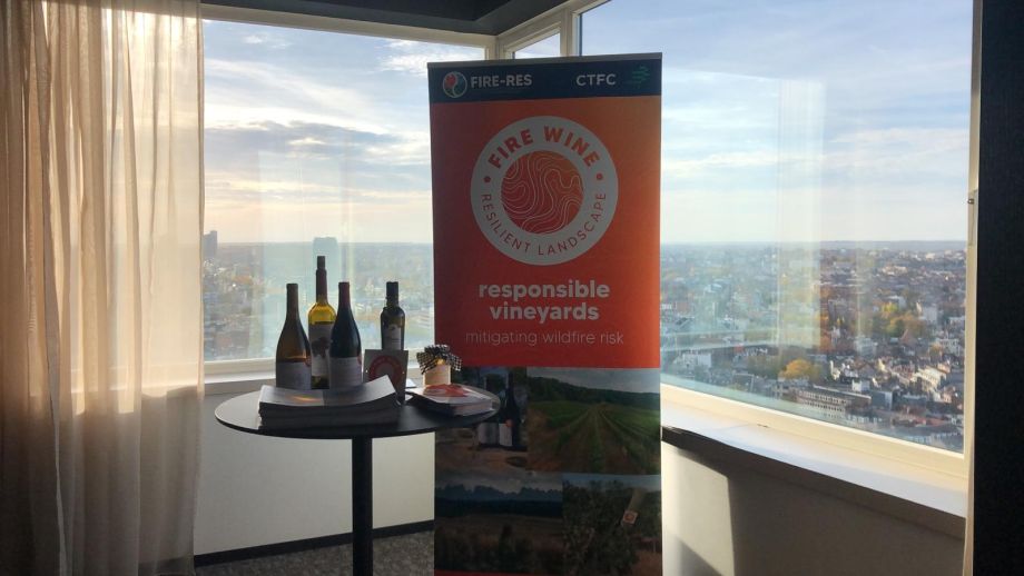 From the reactive paradigm to the preventive paradigm: FIRE WINE at the Final Event of the European project FIRE-RES