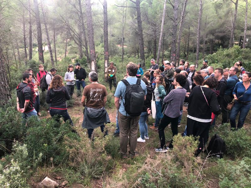 Fire Wine, a la Vuitena Setmana Forestal de la FAO